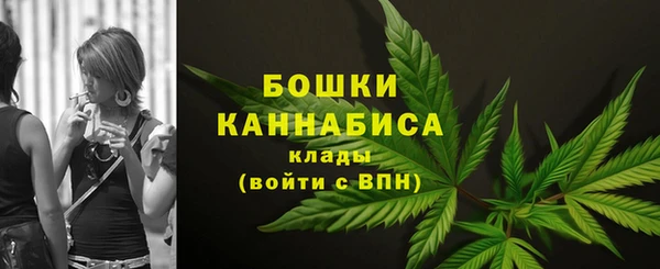 мдпв Мегион
