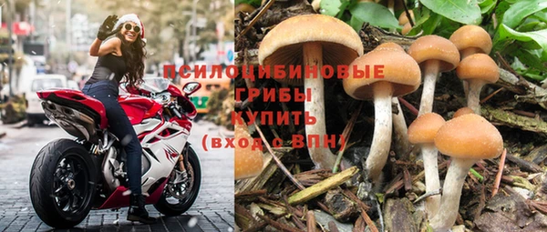 2c-b Абдулино