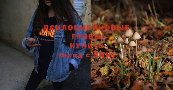 2c-b Абдулино