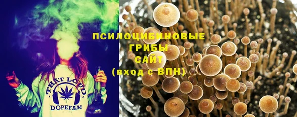 2c-b Абинск