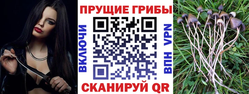 Галлюциногенные грибы ЛСД  площадка телеграм  Терек  цена  